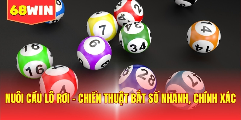 Nuôi cầu lô rơi - Chiến thuật bắt số nhanh, chính xác
