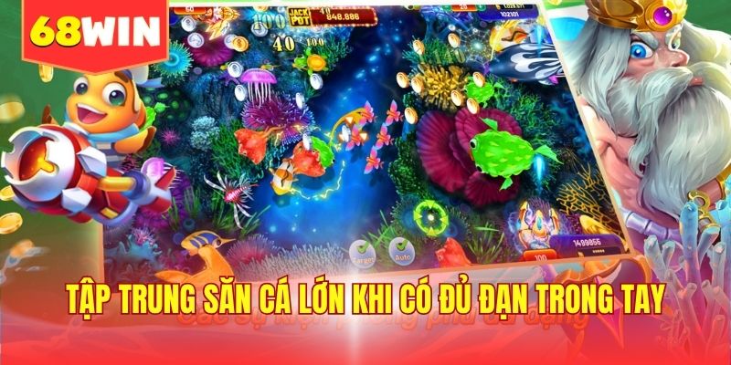 Tập trung săn cá lớn khi có đủ đạn trong tay